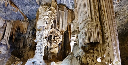 玩家滿意度調查