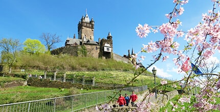 玩家滿意度調查