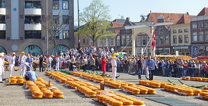 玩家滿意度調查