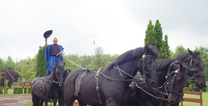 玩家滿意度調查