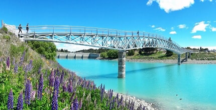 玩家滿意度調查