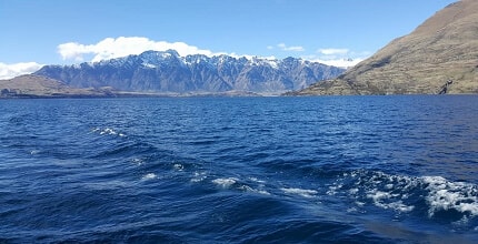 玩家滿意度調查