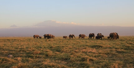 玩家滿意度調查