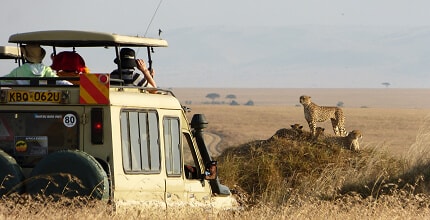 玩家滿意度調查