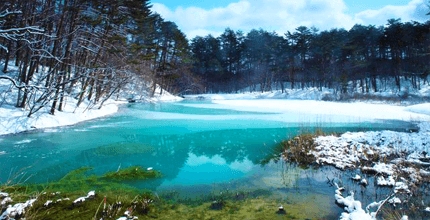 玩家滿意度調查