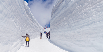 玩家滿意度調查