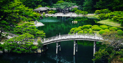 玩家滿意度調查