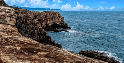 玩家滿意度調查