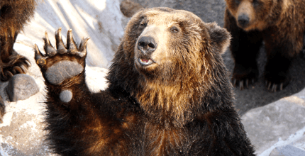 玩家滿意度調查