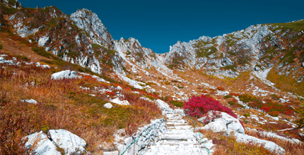 玩家滿意度調查