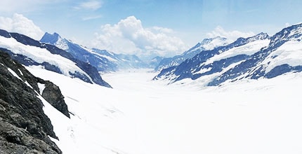 玩家滿意度調查