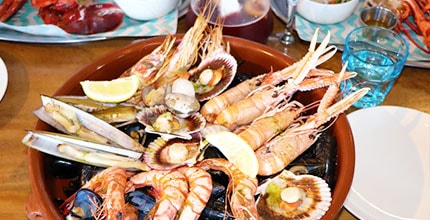 玩家滿意度調查