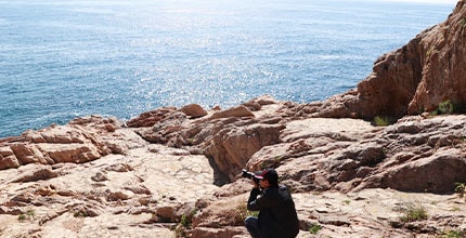 玩家滿意度調查