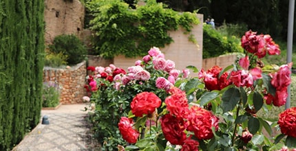 玩家滿意度調查