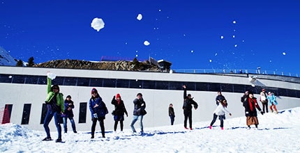 玩家滿意度調查