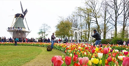 玩家滿意度調查