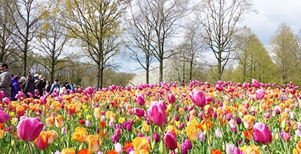 玩家滿意度調查