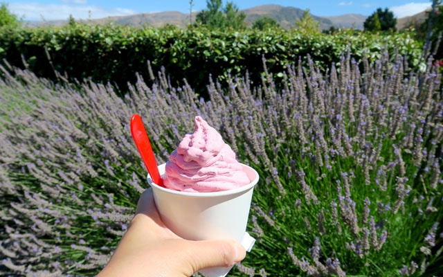 玩家滿意度調查