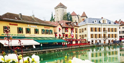 玩家滿意度調查