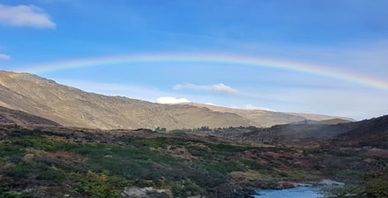 玩家滿意度調查