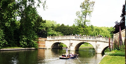 玩家滿意度調查