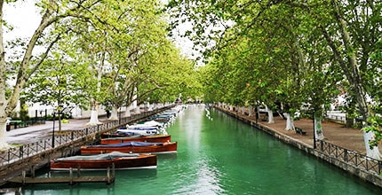 玩家滿意度調查