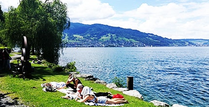 玩家滿意度調查