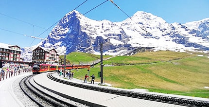 玩家滿意度調查