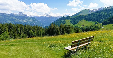 玩家滿意度調查