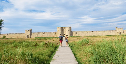 玩家滿意度調查