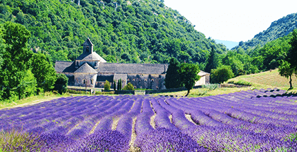 玩家滿意度調查