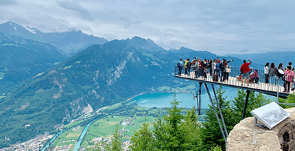 玩家滿意度調查