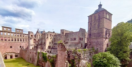 玩家滿意度調查