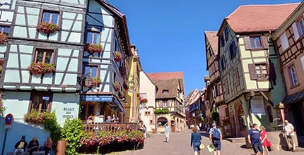 玩家滿意度調查