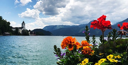 玩家滿意度調查