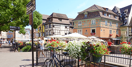 玩家滿意度調查