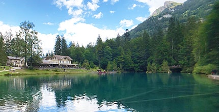 玩家滿意度調查