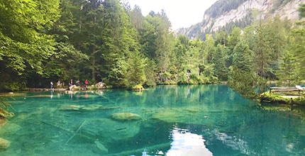 玩家滿意度調查