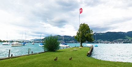 玩家滿意度調查