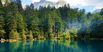 玩家滿意度調查