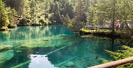 玩家滿意度調查