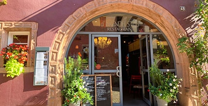 玩家滿意度調查