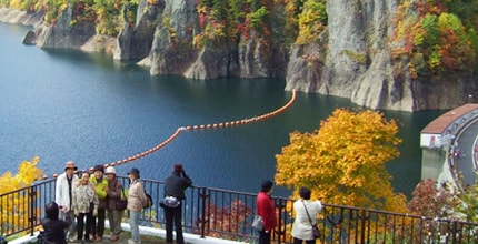 玩家滿意度調查