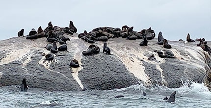 玩家滿意度調查