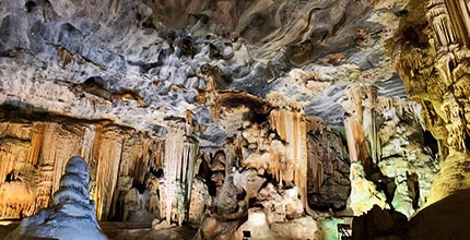 玩家滿意度調查