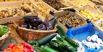 玩家滿意度調查