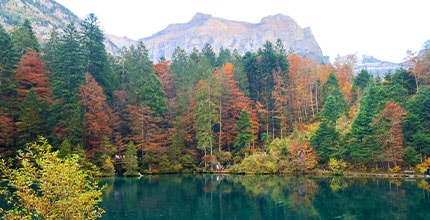 玩家滿意度調查