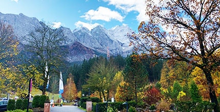 玩家滿意度調查