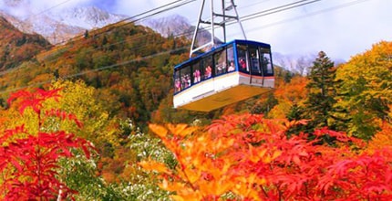 玩家滿意度調查