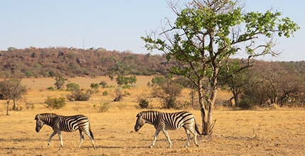 玩家滿意度調查